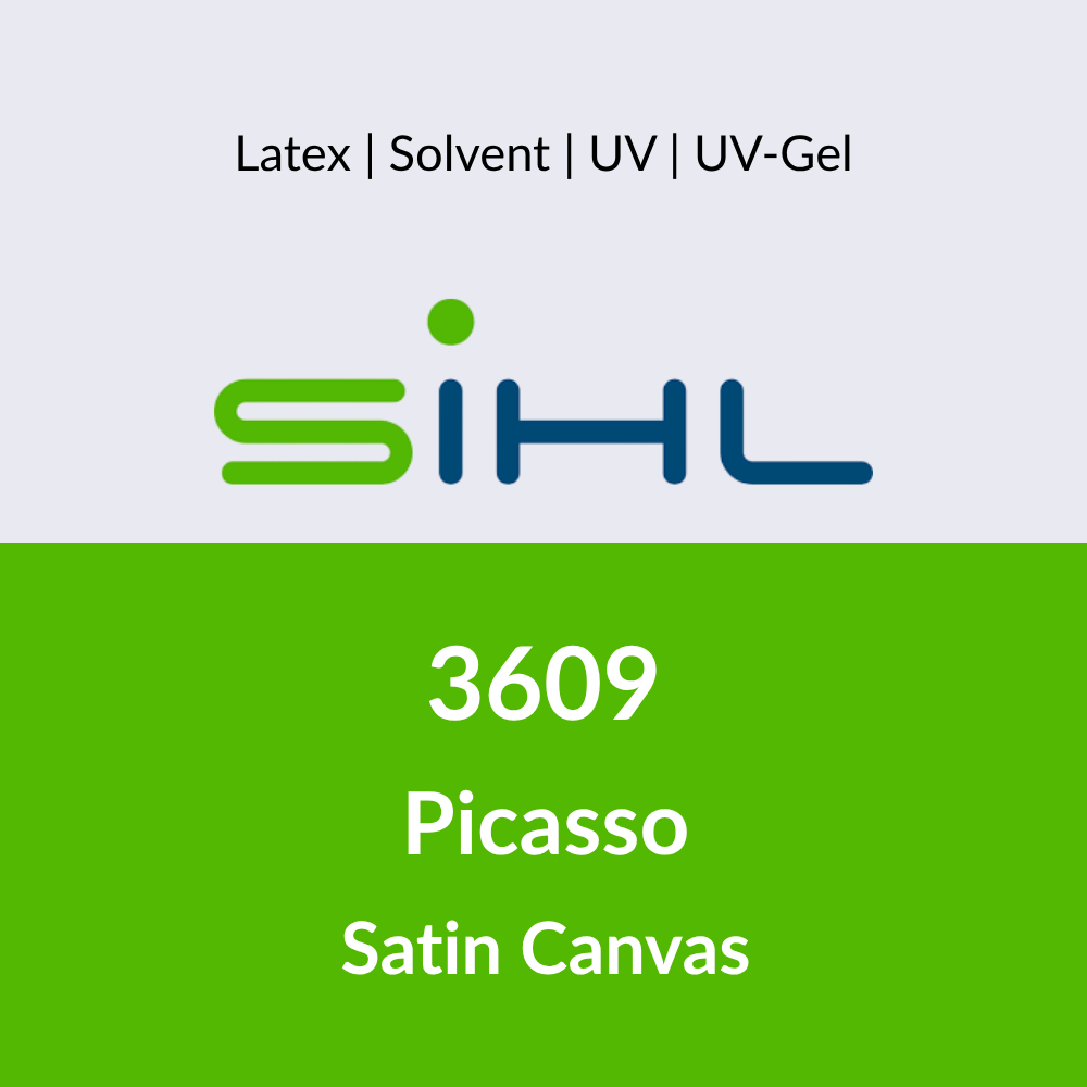 3609 Picasso