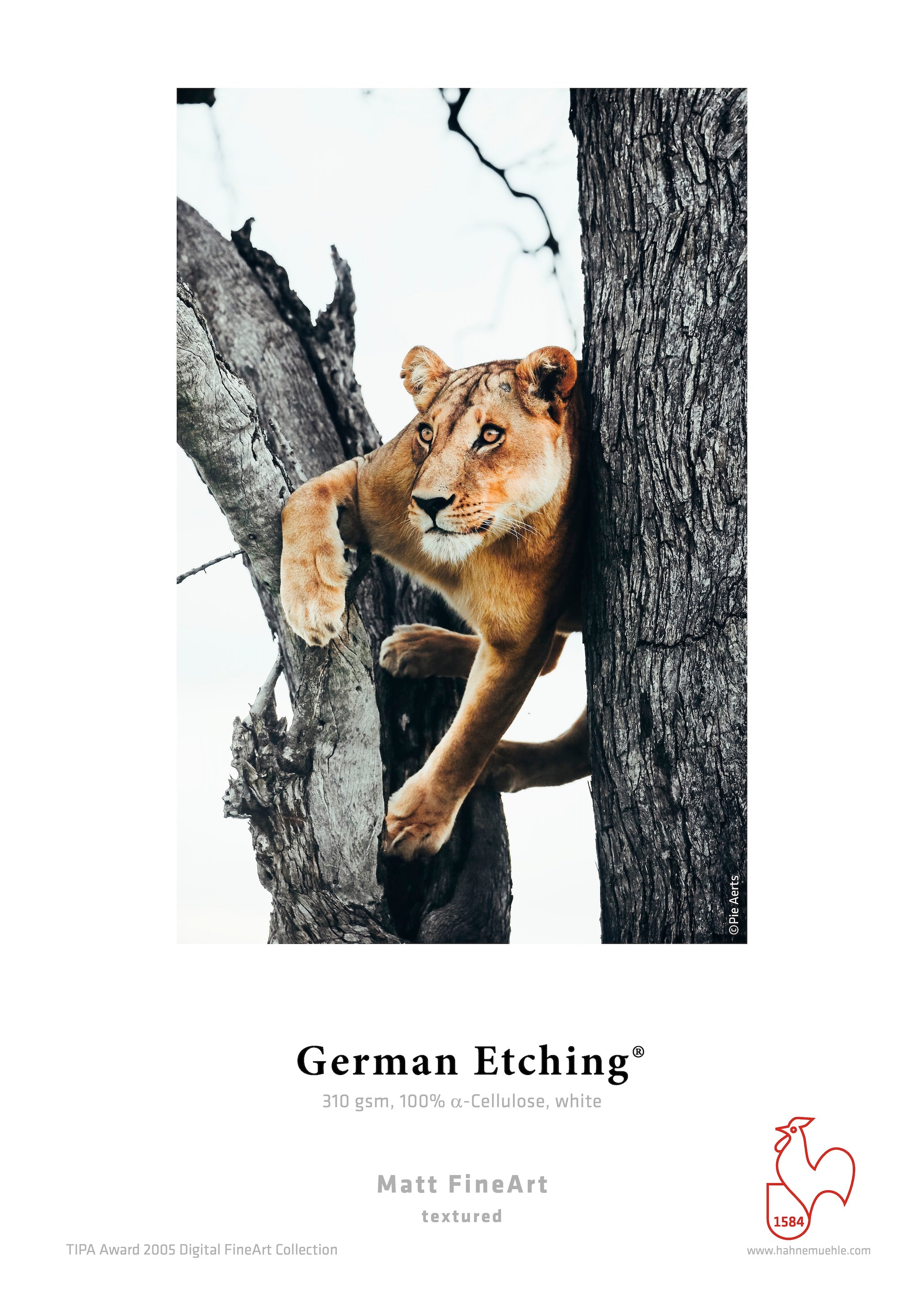 German Etching®