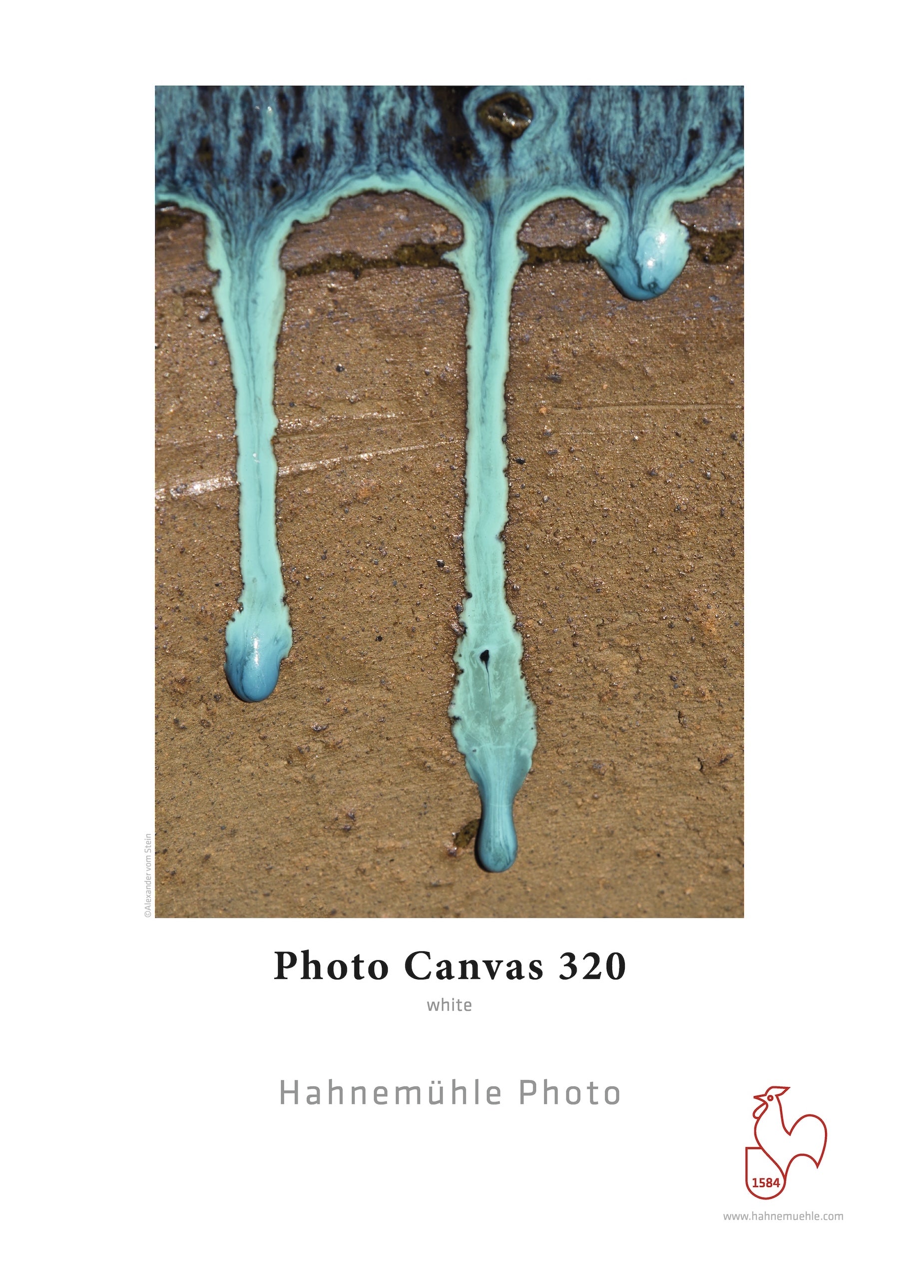 Photo Canvas 320